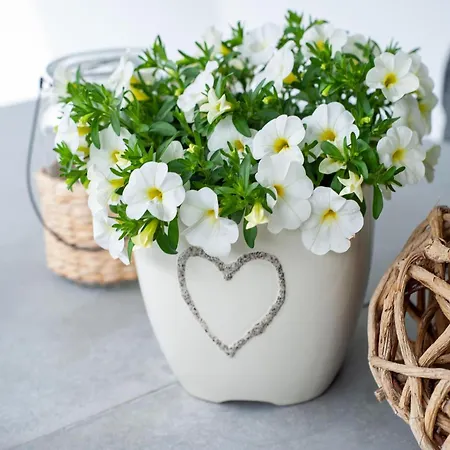 Apartment In Strengen Near Ski Bus * Strengen